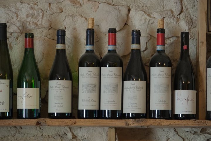 Dégustation de vin et visite de vignoble à Valpolicella, Italie, photo 8 | wizardtrip