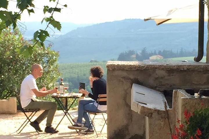 Dégustation de vin et visite de vignoble à Valpolicella, Italie, photo 16 | wizardtrip
