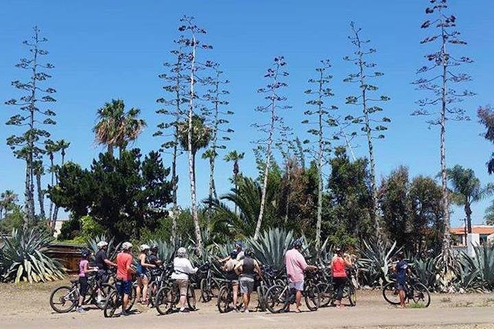Elcykeltur langs den naturskønne kystlinje i La Jolla og Pacific Beach, San Diego, foto 10 | wizardtrip