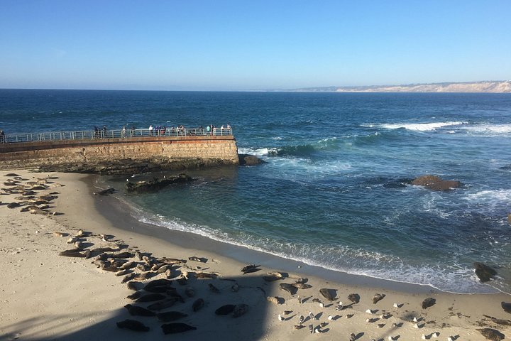 Elcykeltur langs den naturskønne kystlinje i La Jolla og Pacific Beach, San Diego, foto 18 | wizardtrip