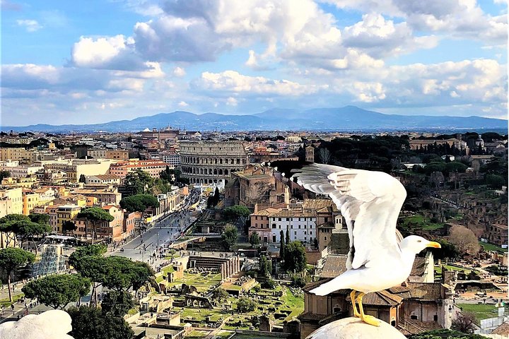 Privat guidad tur av Roms ikoniska landmärken inklusive Colosseum och Vatikanen, foto 6 | wizardtrip