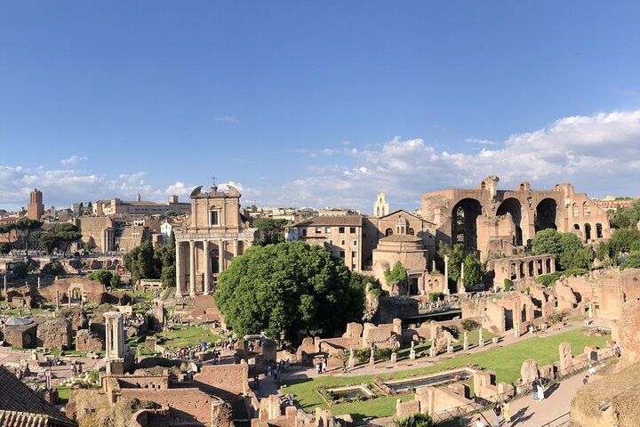 Privat guidad tur av Roms ikoniska landmärken inklusive Colosseum och Vatikanen, foto 11 | wizardtrip