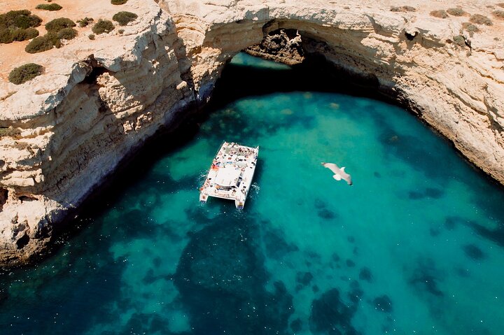Catamaran Cruise: Caves and Coastline to Benagil | wizardtrip