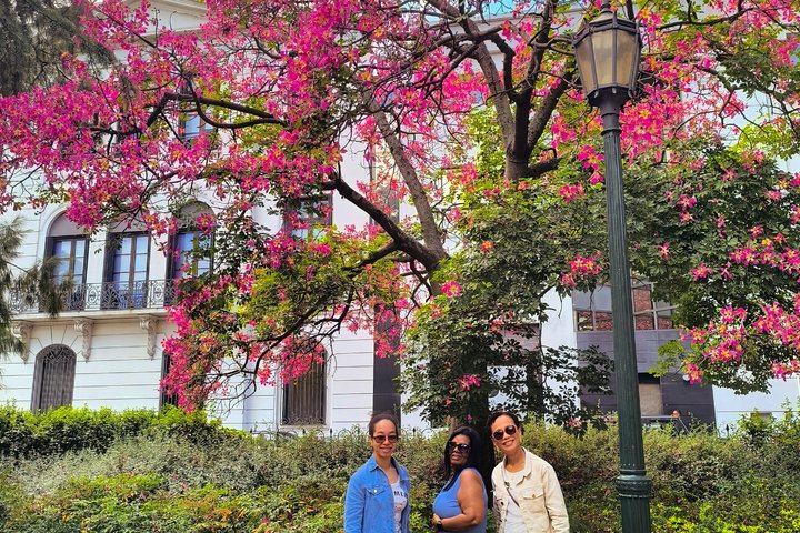 Verken de bezienswaardigheden, cultuur en kustlijn van Montevideo tijdens een stadstour van een halve dag, foto 7 | wizardtrip
