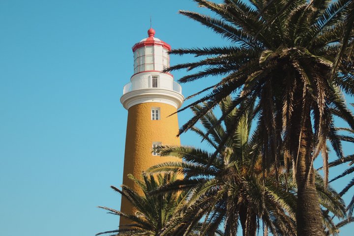 Ganztägige Tour durch Punta del Este, Uruguay, mit Stränden, Kunst und Sehenswürdigkeiten, Foto 9 | wizardtrip