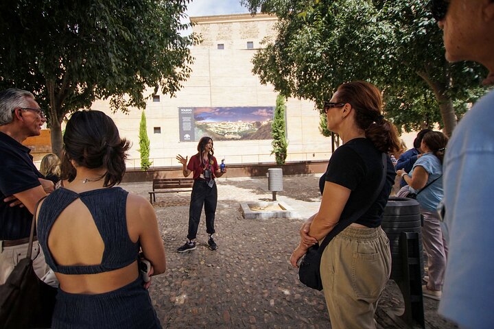 Dagtocht vanuit Madrid naar de historische steden Segovia en Toledo, met UNESCO Werelderfgoederen, foto 16 | wizardtrip
