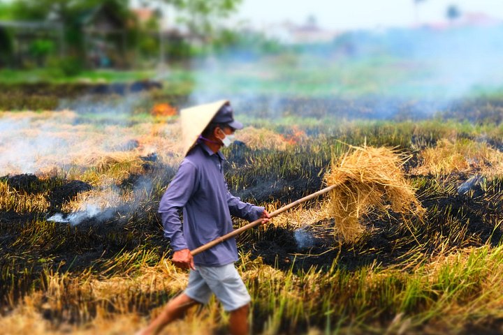 Scopri il Vietnam rurale in un tour in Vespa, esplorando la campagna, la cultura e la cucina di Hoi An, foto 7 | wizardtrip