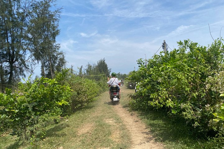 Scopri il Vietnam rurale in un tour in Vespa, esplorando la campagna, la cultura e la cucina di Hoi An, foto 10 | wizardtrip