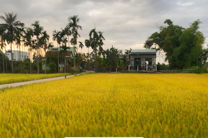 Scopri il Vietnam rurale in un tour in Vespa, esplorando la campagna, la cultura e la cucina di Hoi An, foto 32 | wizardtrip
