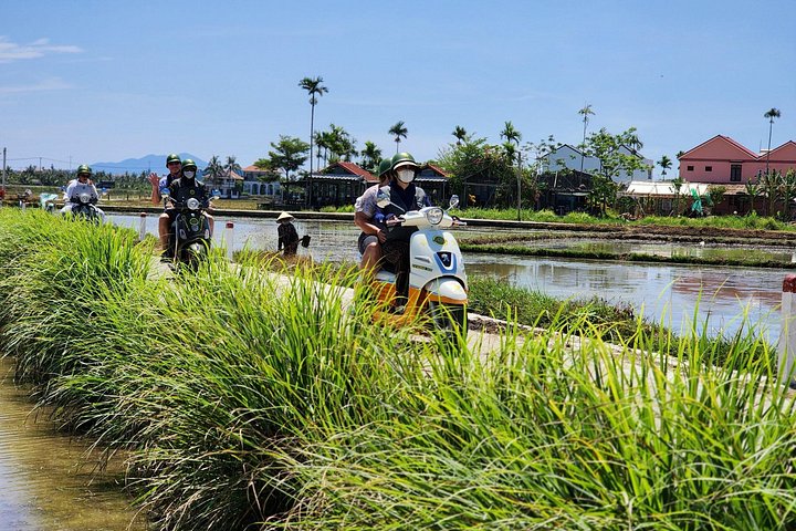 Découvrez les points forts et les trésors cachés de Hoi An lors d'un tour palpitant en Vespa à travers les rues anciennes et la campagne pittoresque, photo 21 | wizardtrip