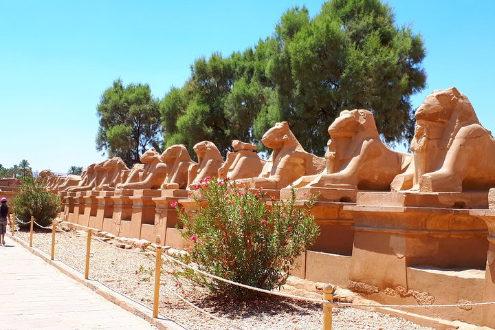 ルクソールの古代の驚異、神殿や墓を含むプライベート終日ツアーで探検しましょう、写真11 | wizardtrip