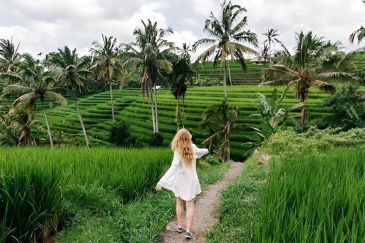Naturskön tur av Balis tempel, vattenfall och risfält, inklusive Tanah Lot och Jatiluwih, foto 18 | wizardtrip
