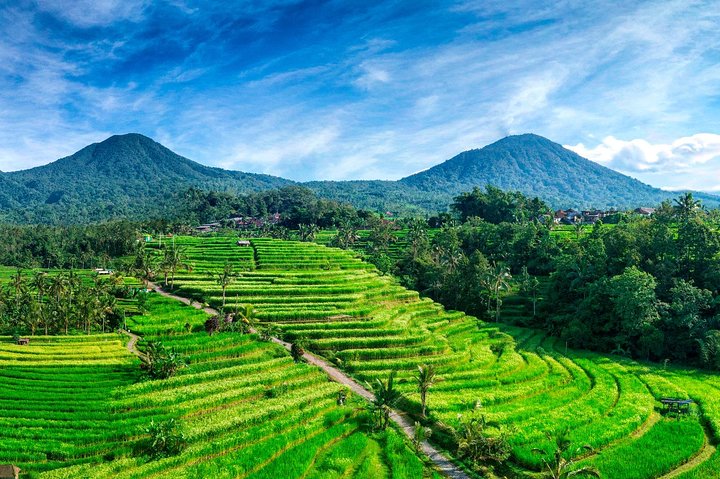 Naturskön tur av Balis tempel, vattenfall och risfält, inklusive Tanah Lot och Jatiluwih, foto 20 | wizardtrip