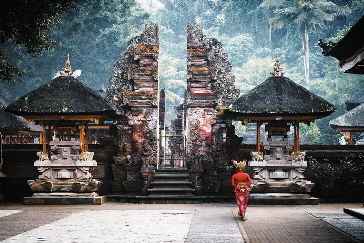 Privat tur, der udforsker Ubuds risterrasser, templer og vandfald på Bali, foto 11 | wizardtrip