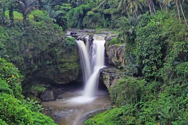 Privat tur, der udforsker Ubuds risterrasser, templer og vandfald på Bali, foto 14 | wizardtrip
