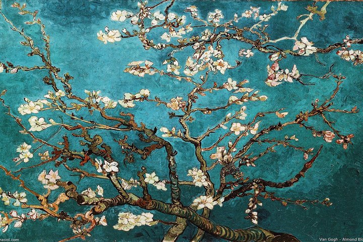 Visita guiada exclusiva al Museo Van Gogh en Ámsterdam, mostrando obras maestras y perspectivas del artista, foto 8 | wizardtrip