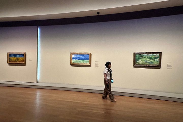Visita guiada exclusiva al Museo Van Gogh en Ámsterdam, mostrando obras maestras y perspectivas del artista, foto 23 | wizardtrip