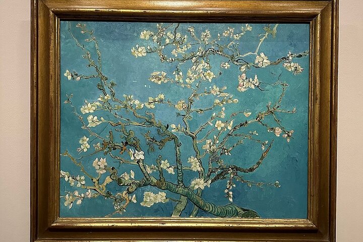 Visita guiada exclusiva al Museo Van Gogh en Ámsterdam, mostrando obras maestras y perspectivas del artista, foto 32 | wizardtrip