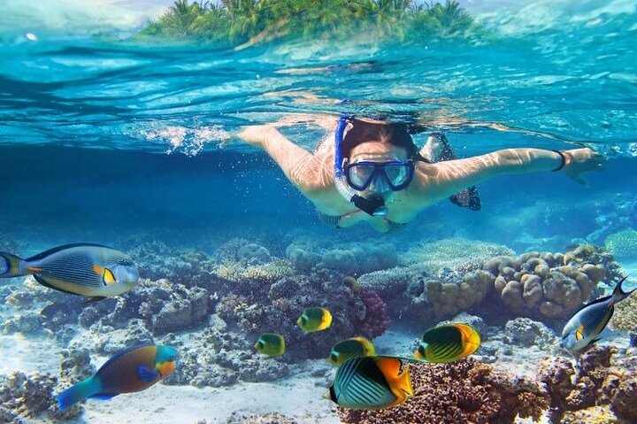 Entdecken Sie Saint Lucias atemberaubende Land- und Seelandschaften auf einer All-Inclusive-Exkursion mit Pitons, Schlammbädern und Schnorcheln, Foto 28 | wizardtrip