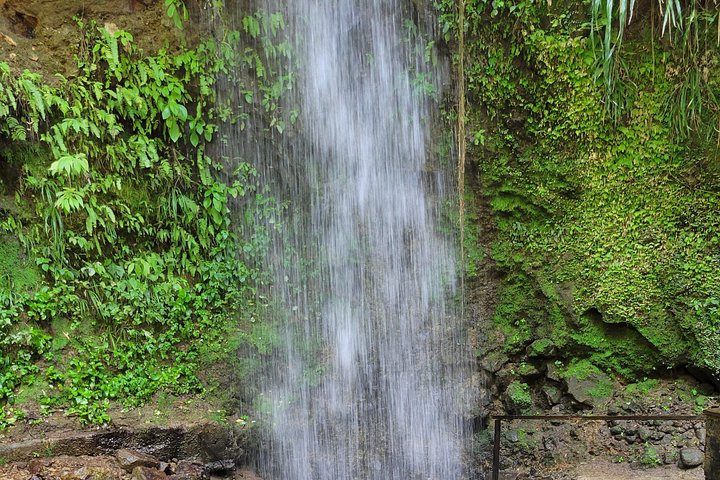 Entdecken Sie Saint Lucias atemberaubende Land- und Seelandschaften auf einer All-Inclusive-Exkursion mit Pitons, Schlammbädern und Schnorcheln, Foto 43 | wizardtrip