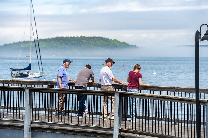 Naturskön tur av Bar Harbor och Acadia National Park, inklusive Cadillac Mountain och kustvyer, foto 17 | wizardtrip