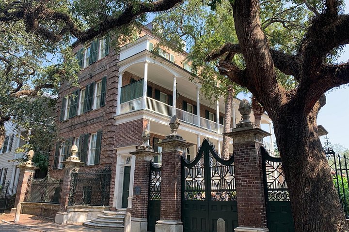 Visite guidée à pied explorant les rues charmantes de Charleston, Rainbow Row et Battery, photo 14 | wizardtrip