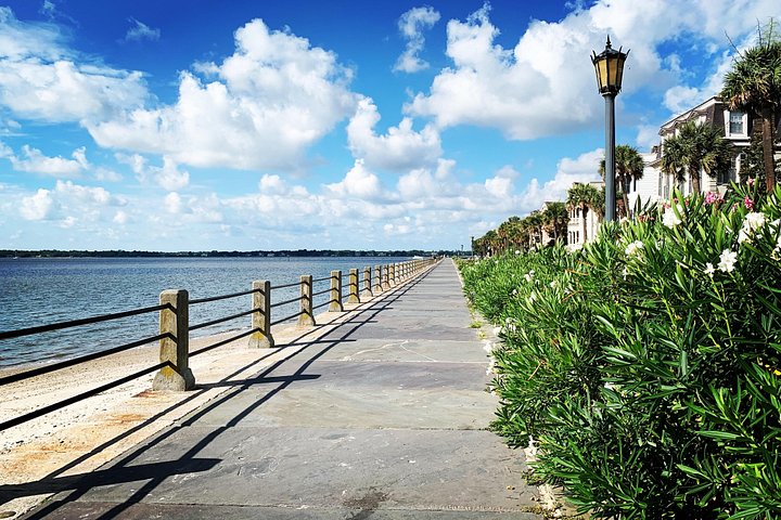Visite guidée à pied explorant les rues charmantes de Charleston, Rainbow Row et Battery, photo 21 | wizardtrip