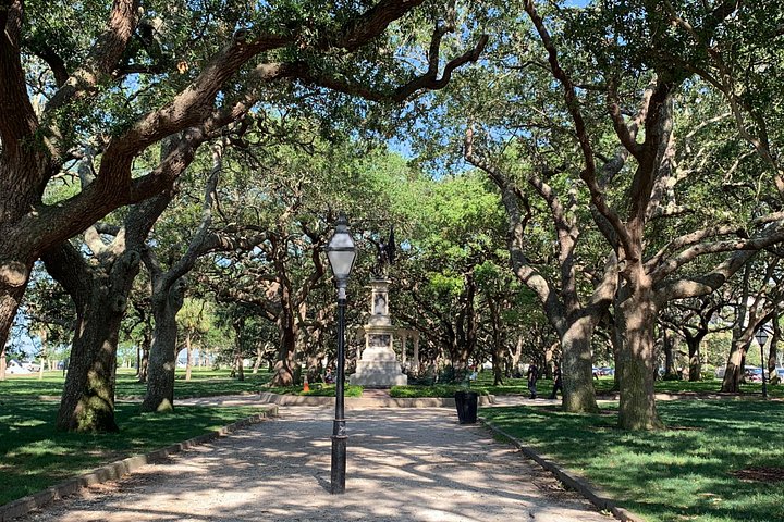 Visite guidée à pied explorant les rues charmantes de Charleston, Rainbow Row et Battery, photo 23 | wizardtrip