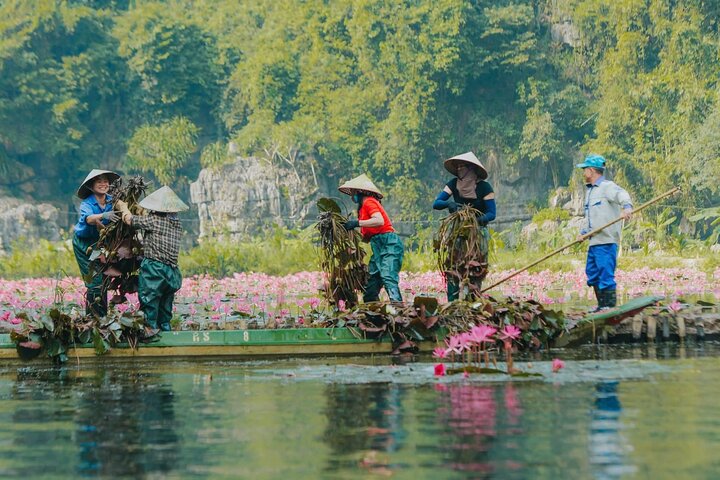 Scenic boat ride through limestone karsts and rice paddies in Ninh Binh, Vietnam, photo 29 | wizardtrip
