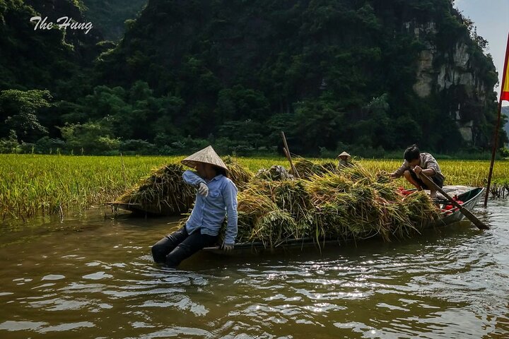 Scenic boat ride through limestone karsts and rice paddies in Ninh Binh, Vietnam, photo 40 | wizardtrip