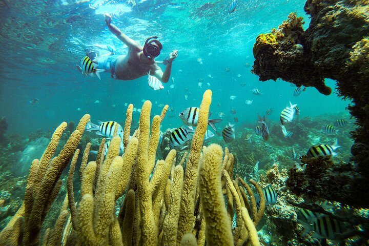 Évasion Caraïbes : Expérience Océan Réservée aux Adultes (15+) Premium | wizardtrip