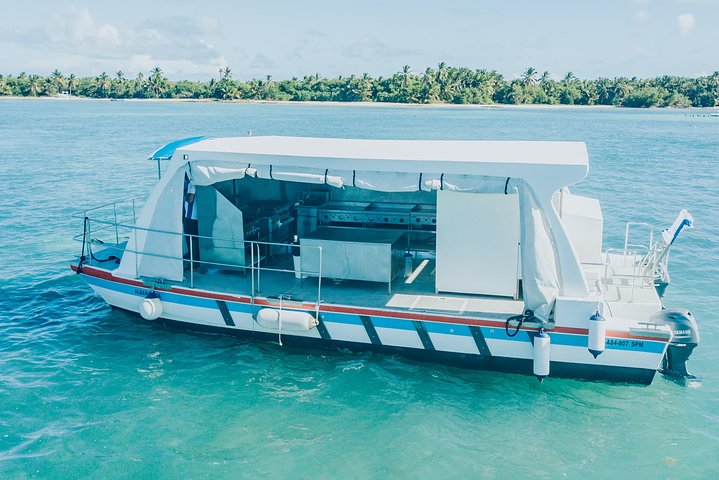 Katamarantur endast för vuxna i Punta Cana med snorkling, strandavkoppling och gourmetlunch, foto 7 | wizardtrip