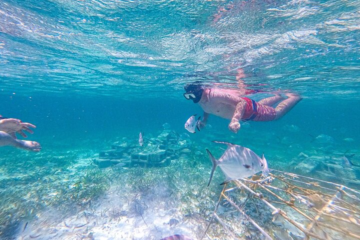 Katamarantur endast för vuxna i Punta Cana med snorkling, strandavkoppling och gourmetlunch, foto 9 | wizardtrip