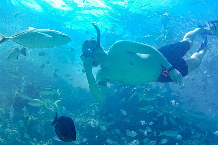 Katamarantur endast för vuxna i Punta Cana med snorkling, strandavkoppling och gourmetlunch, foto 15 | wizardtrip