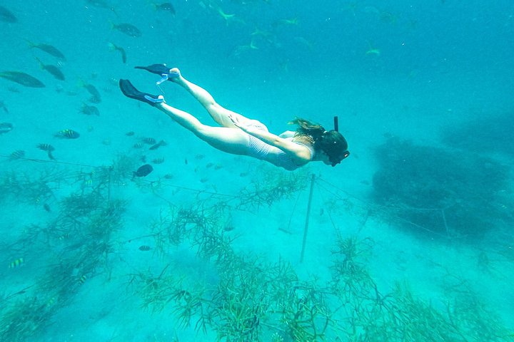 Katamarantur endast för vuxna i Punta Cana med snorkling, strandavkoppling och gourmetlunch, foto 16 | wizardtrip