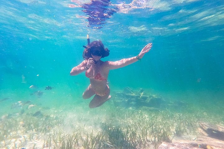 Katamarantur endast för vuxna i Punta Cana med snorkling, strandavkoppling och gourmetlunch, foto 17 | wizardtrip