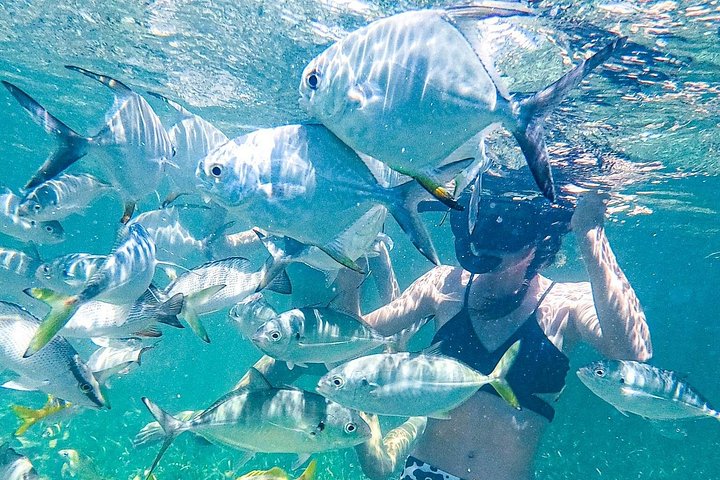 Katamarantur endast för vuxna i Punta Cana med snorkling, strandavkoppling och gourmetlunch, foto 20 | wizardtrip