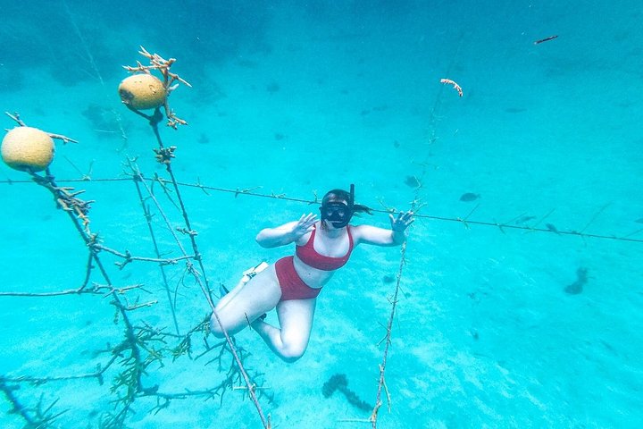 Mariene conservatie catamarantour in Punta Cana met snorkelen en lunch, foto 14 | wizardtrip