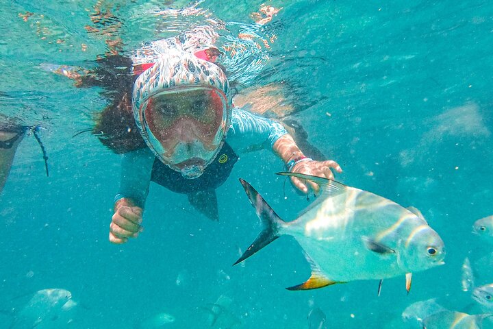 Mariene conservatie catamarantour in Punta Cana met snorkelen en lunch, foto 22 | wizardtrip