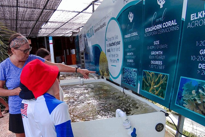 Mariene conservatie catamarantour in Punta Cana met snorkelen en lunch, foto 24 | wizardtrip