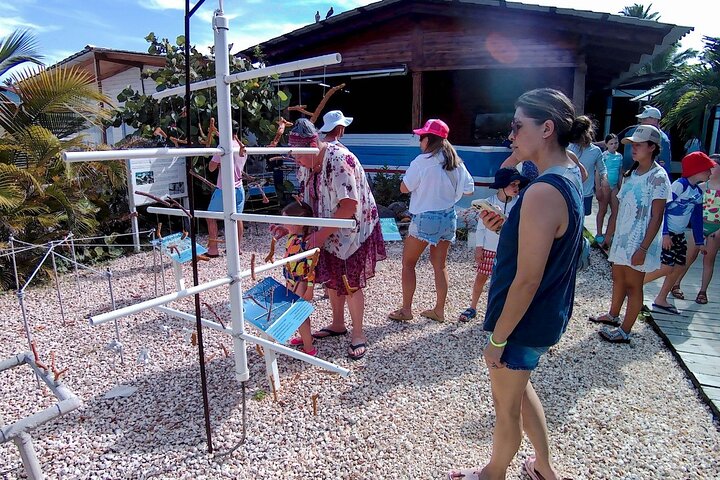 Mariene conservatie catamarantour in Punta Cana met snorkelen en lunch, foto 25 | wizardtrip