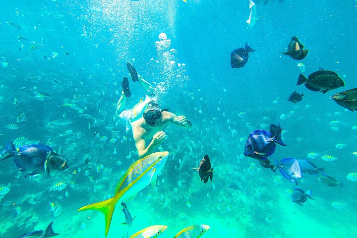 Évasion Caraïbes : Expérience Océan Réservée aux Adultes (15+) | wizardtrip