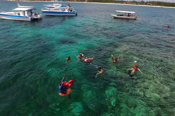 Tour in catamarano solo per adulti a Punta Cana con snorkeling e pranzo, foto 11 | wizardtrip