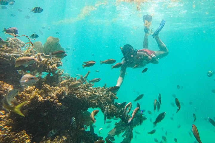 Tour in catamarano solo per adulti a Punta Cana con snorkeling e pranzo, foto 17 | wizardtrip