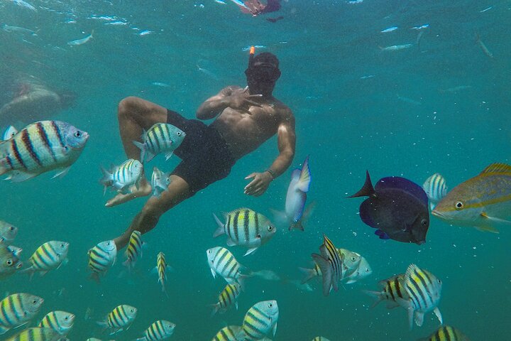 Tour in catamarano solo per adulti a Punta Cana con snorkeling e pranzo, foto 22 | wizardtrip