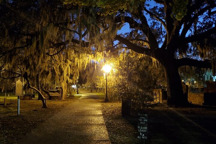 Savannah History and Haunts : Visite Guidée aux Chandelles des Fantômes | wizardtrip