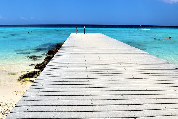 Entdecken Sie die Highlights von Curaçao: Flamingos, Nationalpark, Schildkröten, Strände und Blue Curaçao Likör, Foto 7 | wizardtrip