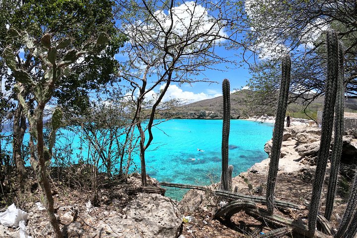 Entdecken Sie die Highlights von Curaçao: Flamingos, Nationalpark, Schildkröten, Strände und Blue Curaçao Likör, Foto 13 | wizardtrip