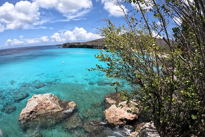 Entdecken Sie die Highlights von Curaçao: Flamingos, Nationalpark, Schildkröten, Strände und Blue Curaçao Likör, Foto 14 | wizardtrip