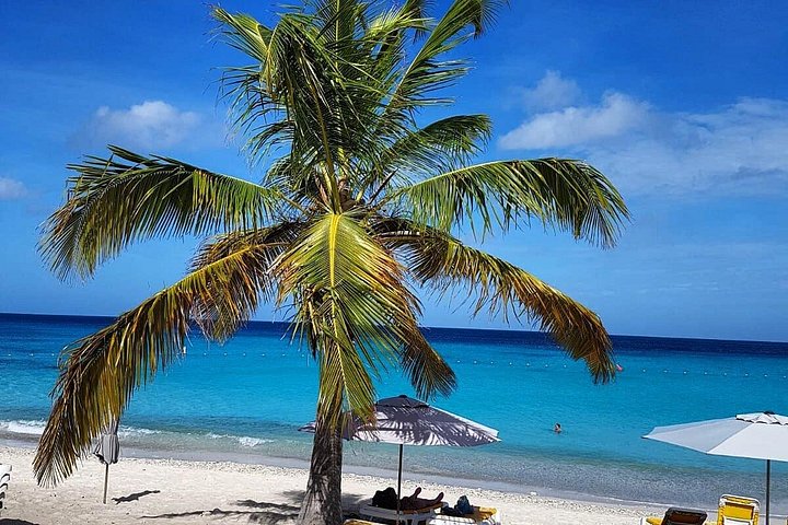 Entdecken Sie die Highlights von Curaçao: Flamingos, Nationalpark, Schildkröten, Strände und Blue Curaçao Likör, Foto 15 | wizardtrip
